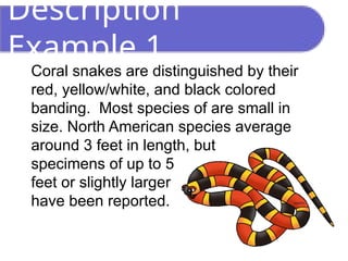 Description
Example 1
Coral snakes are distinguished by their
red, yellow/white, and black colored
banding. Most species of are small in
size. North American species average
around 3 feet in length, but
specimens of up to 5
feet or slightly larger
have been reported.
 