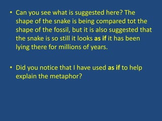 • Can you see what is suggested here? The
  shape of the snake is being compared tot the
  shape of the fossil, but it is also suggested that
  the snake is so still it looks as if it has been
  lying there for millions of years.

• Did you notice that I have used as if to help
  explain the metaphor?
 