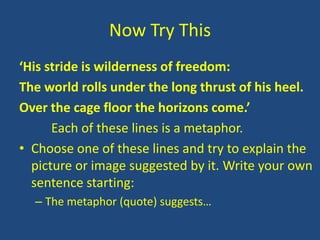 Now Try This
‘His stride is wilderness of freedom:
The world rolls under the long thrust of his heel.
Over the cage floor the horizons come.’
      Each of these lines is a metaphor.
• Choose one of these lines and try to explain the
  picture or image suggested by it. Write your own
  sentence starting:
  – The metaphor (quote) suggests…
 