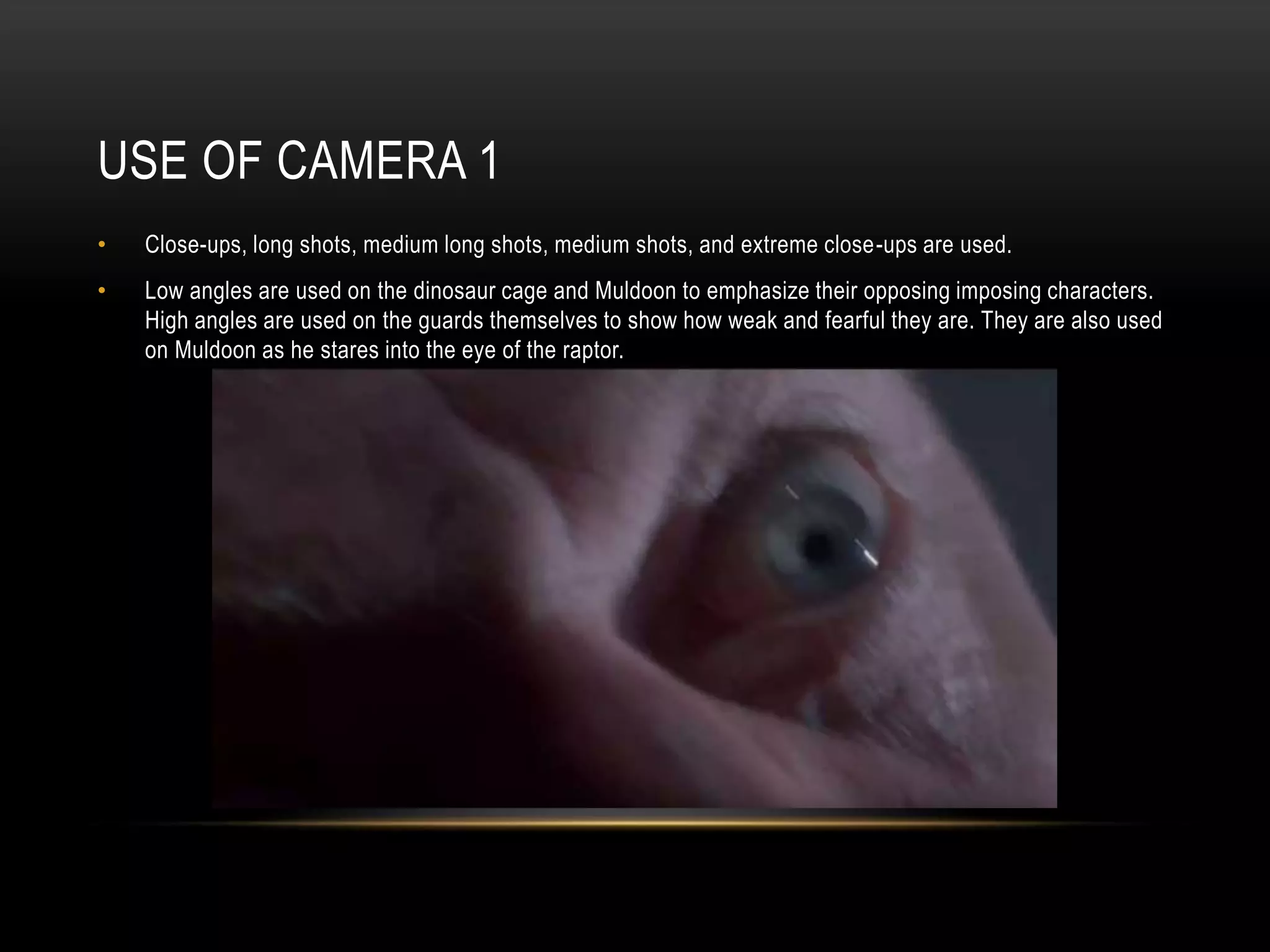USE OF CAMERA 1
• Close-ups, long shots, medium long shots, medium shots, and extreme close-ups are used.
• Low angles are used on the dinosaur cage and Muldoon to emphasize their opposing imposing characters.
High angles are used on the guards themselves to show how weak and fearful they are. They are also used
on Muldoon as he stares into the eye of the raptor.
 