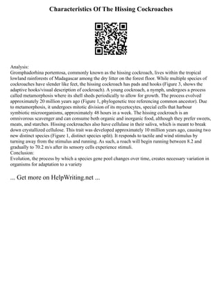 Characteristics Of The Hissing Cockroaches
Analysis:
Gromphadorhina portentosa, commonly known as the hissing cockroach, lives within the tropical
lowland rainforests of Madagascar among the dry litter on the forest floor. While multiple species of
cockroaches have slender like feet, the hissing cockroach has pads and hooks (Figure 3, shows the
adaptive hooks/visual description of cockroach). A young cockroach, a nymph, undergoes a process
called metamorphosis where its shell sheds periodically to allow for growth. The process evolved
approximately 20 million years ago (Figure 1, phylogenetic tree referencing common ancestor). Due
to metamorphosis, it undergoes mitotic division of its mycetocytes, special cells that harbour
symbiotic microorganisms, approximately 48 hours in a week. The hissing cockroach is an
omnivorous scavenger and can consume both organic and inorganic food, although they prefer sweets,
meats, and starches. Hissing cockroaches also have cellulase in their saliva, which is meant to break
down crystallized cellulose. This trait was developed approximately 10 million years ago, causing two
new distinct species (Figure 1, distinct species split). It responds to tactile and wind stimulus by
turning away from the stimulus and running. As such, a roach will begin running between 8.2 and
gradually to 70.2 m/s after its sensory cells experience stimuli.
Conclusion:
Evolution, the process by which a species gene pool changes over time, creates necessary variation in
organisms for adaptation to a variety
... Get more on HelpWriting.net ...
 