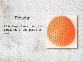 Picuda:
Que tiene forma de pico
simulando el que posee un
ave.
 