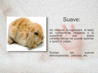 Suave:
sin relieves ni rugosidad, al tacto
es sumamente relajante y la
superficie con estas
características no puede lastimar
a quien lo palpa.
Existen las suaves
aterciopeladas, peludas, etc.
 