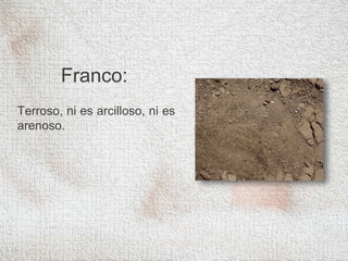 Franco:
Terroso, ni es arcilloso, ni es
arenoso.
 