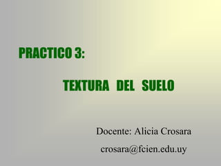 PRACTICO 3:
TEXTURA DEL SUELO
Docente: Alicia Crosara
crosara@fcien.edu.uy
 