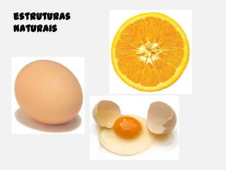 estruturas naturais
