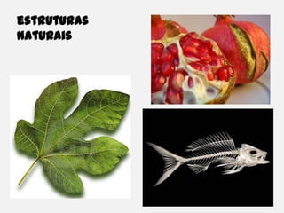 estruturas naturais