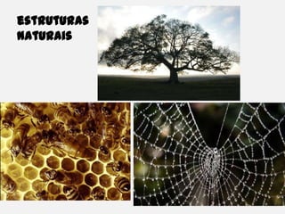 estruturas naturais