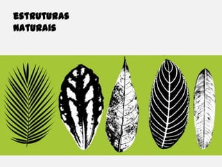 estruturas naturais