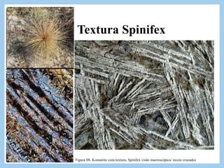 Textura Spinifex
Textura particular de derrames de composição
peridotitica (Komatiitos), caracterizada pelo
desenvolvimento excepcional de olivina e
clinopiroxênio, em geral extremamente alongados e
ocos. A trama se caracteriza por grandes cristais
laminares de olivinas e piroxênios, frequentemente
com disposição radial .
Figura 08- Komatiito com textura, Spinifex visão macroscópica/ nicois cruzados
 