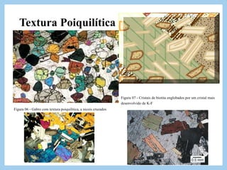 Textura Poiquilítica
Um grande grão mineral em continuidade ótica cerca um
certo número de grãos menores de minerais de cristalização
anterior. Esta textura é muito comum em certas rochas
ultramáficas, a exemplo os peridotitos nos quais grandes cristais
de piroxênio englobam numerosos cristais, de olivina.
Figura 06 - Gabro com textura poiquilítica, a nicois cruzados
Figura 07 - Cristais de biotita englobados por um cristal mais
desenvolvido de K-F
 