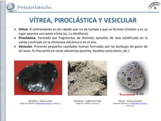  Vítrea. El enfriamiento es tan rápido que no da tiempo a que se formen cristales y en su
lugar aparece una pasta vítrea (ej. La obsidiana).
 Piroclástica. Formada por fragmentos de distintos tamaños de lava solidificada en la
salida y enfriada en la chimenea volcánica o en el aire.
 Vesicular. Presenta pequeñas cavidades huecas formadas por las burbujas de gases de
las lavas. Es frecuente en rocas volcánicas (pumita, basaltos vesiculares, etc.).
Obsidiana – Textura vítrea
Imagen de Pekachu en Wikimedia commons. Licencia cc
Piroclastos – Caldera del Teide
Imagen de J. Melero. Licencia cc
Pumita - Textura vesicular
Imagen de Daniele.51 en Wikimedia Commons.
Licencia cc
VÍTREA, PIROCLÁSTICA Y VESICULAR
 