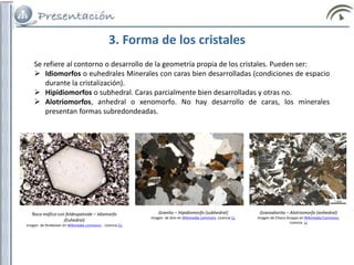 3. Forma de los cristales
Se refiere al contorno o desarrollo de la geometría propia de los cristales. Pueden ser:
 Idiomorfos o euhedrales Minerales con caras bien desarrolladas (condiciones de espacio
durante la cristalización).
 Hipidiomorfos o subhedral. Caras parcialmente bien desarrolladas y otras no.
 Alotriomorfos, anhedral o xenomorfo. No hay desarrollo de caras, los minerales
presentan formas subredondeadas.
Roca máfica con feldespatoide – Idiomorfo
(Euhedral)
Imagen de Strekeisen en Wikimedia commons. . Licencia Cc
Granito – Hipidiomorfo (subhedral)
Imagen de Siim en Wikimedia commons. Licencia Cc
Granodiorita – Alotriomorfo (anhedral)
Imagen de Chiara Groppo en Wikimedia Commons.
Licencia cc
 