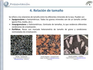 4. Relación de tamaño
Se refiere a las relaciones de tamaño entre los diferentes minerales de la roca. Pueden ser:
 Equigranulares u homométricas. Todos los granos minerales son de un tamaño similar
(grano fino, medio, etc.).
 Inequigranulares u heterométricas. Contraste de tamaños, lo que evidencia diferentes
condiciones de cristalización.
 Porfídicas. Rocas con marcada heterometría de tamaño de grano y condiciones
contrastadas de cristalización.
Basalto - Equigranular
Imagen de Alessandro Da Mommio en
Wikimedia commons. . Licencia Cc
Granito Rapakivi – Inequigranular)
Imagen de Lysippos en Wikimedia commons.
Licencia Cc
Basalto porfídico – Porfídica
Imagen de Daniele.51 en Wikimedia Commons.
Licencia cc
 