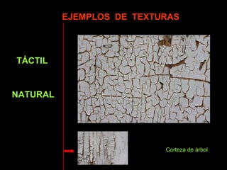 EJEMPLOS DE TEXTURAS 
TÁCTIL 
NATURAL 
Corteza de árbol 
 
