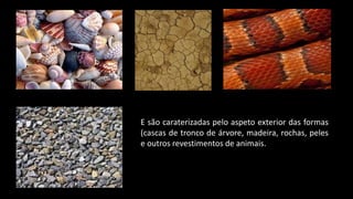 E são caraterizadas pelo aspeto exterior das formas
(cascas de tronco de árvore, madeira, rochas, peles
e outros revestimentos de animais.
 