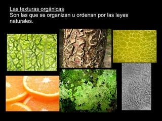 Las texturas orgánicas Son las que se organizan u ordenan por las leyes naturales. 