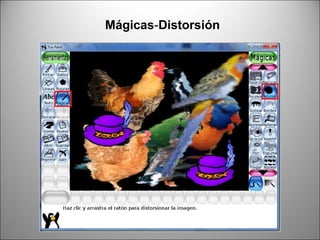 Mágicas-Distorsión