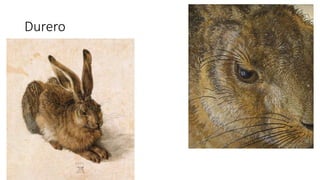 Durero
 