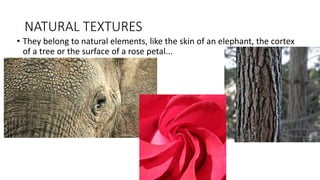 NATURAL TEXTURES
• They belong to natural elements, like the skin of an elephant, the cortex
of a tree or the surface of a rose petal...
 