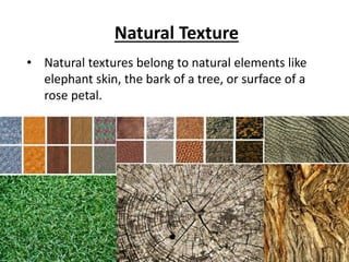 Natural Texture
• Natural textures belong to natural elements like
elephant skin, the bark of a tree, or surface of a
rose petal.
 