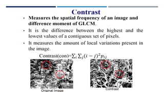Statistical Texture Features Texture feature.pptx