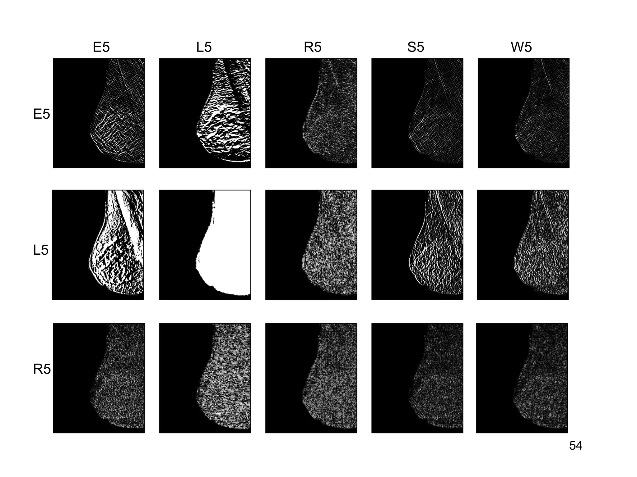 54
E5 L5 R5 S5 W5
E5
L5
R5
 