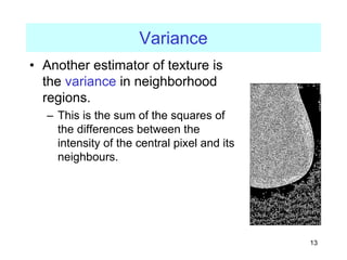 Texture features - wirth06.pdf