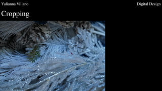 Yulianna Villano Digital Design
Cropping
 