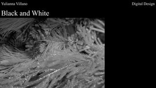 Yulianna Villano Digital Design
Black and White
 