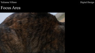 Yulianna Villano Digital Design
Focus Area
 