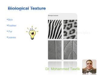 Principles
Dr. Mohammed Tawfik
Skin
Feather
 Fur
Leaves
 