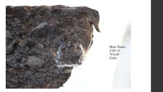 Matt Yimet
4-20-15
“Creek”
Color
 