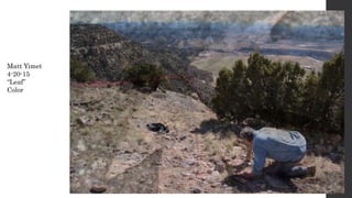 Matt Yimet
4-20-15
“Leaf”
Color
 