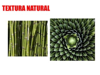 TEXTURA NATURAL
 