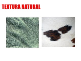 TEXTURA NATURAL
 