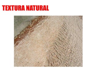 TEXTURA NATURAL
 