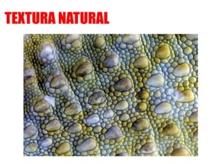 TEXTURA NATURAL
 