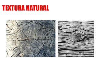TEXTURA NATURAL
 