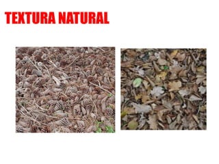 TEXTURA NATURAL
 