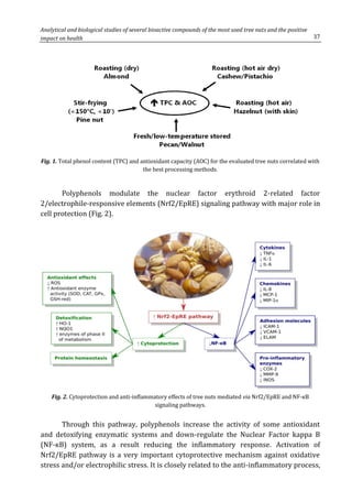 37
Analytical and biological studies of several bioactive compounds of the most used tree nuts and the positive
impact on health
Fig. 1. Total phenol content (TPC) and antioxidant capacity (AOC) for the evaluated tree nuts correlated with
the best processing methods.
Polyphenols modulate the nuclear factor erythroid 2-related factor
2/electrophile-responsive elements (Nrf2/EpRE) signaling pathway with major role in
cell protection (Fig. 2).
Fig. 2. Cytoprotection and anti-inflammatory effects of tree nuts mediated via Nrf2/EpRE and NF-κB
signaling pathways.
Through this pathway, polyphenols increase the activity of some antioxidant
and detoxifying enzymatic systems and down-regulate the Nuclear Factor kappa B
(NF-кB) system, as a result reducing the inflammatory response. Activation of
Nrf2/EpRE pathway is a very important cytoprotective mechanism against oxidative
stress and/or electrophilic stress. It is closely related to the anti-inflammatory process,
 
