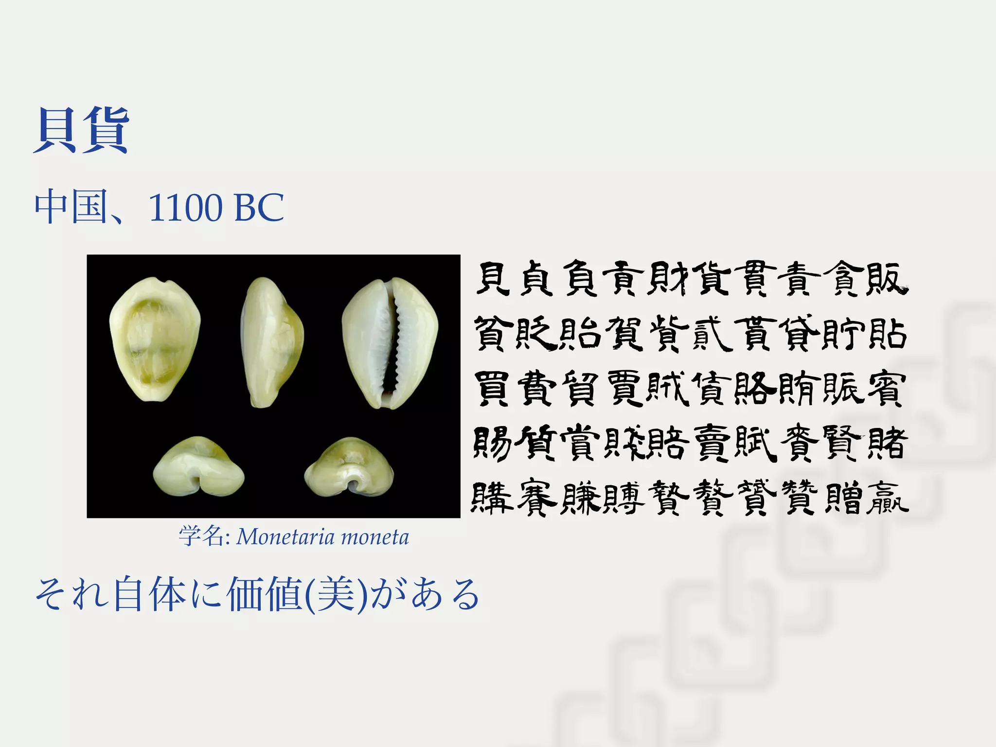 貝貨
中国、1100 BC
貝貞負貢財貨貫責貪販
貧貶貽賀貲貳貰貸貯貼
買費貿賈賊賃賂賄賑賓
賜質賞賤賠賣賦賚賢賭
購賽賺賻贄贅贇贊贈贏学名: Monetaria moneta
それ自体に価値(美)がある
 