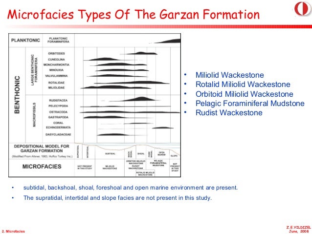 Phd dissertation 2008
