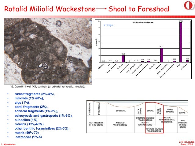2020 dissertations picture