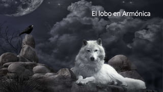 El lobo en Armónica
 