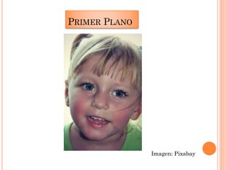 PRIMER PLANO
Imagen: Pixabay