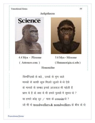Transitional forms chapter 3.2.2 primates bilingual dryopithecus to ...