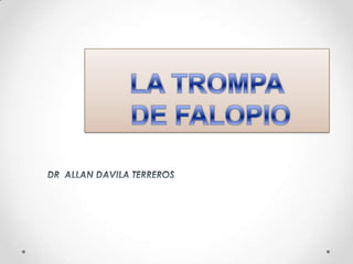 LA TROMPA DE FALOPIO DR  ALLAN DAVILA TERREROS 