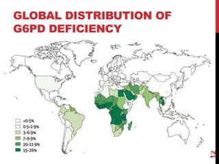 GLOBAL DISTRIBUTION OF
G6PD DEFICIENCY
12
 