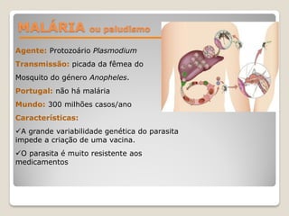MALÁRIA ou paludismo
Agente: Protozoário Plasmodium
Transmissão: picada da fêmea do
Mosquito do género Anopheles.
Portugal: não há malária
Mundo: 300 milhões casos/ano
Características:
A grande variabilidade genética do parasita
impede a criação de uma vacina.
O parasita é muito resistente aos
medicamentos
 